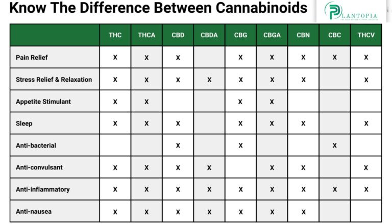 Plantopia Dispensary Cannabinoids CHART